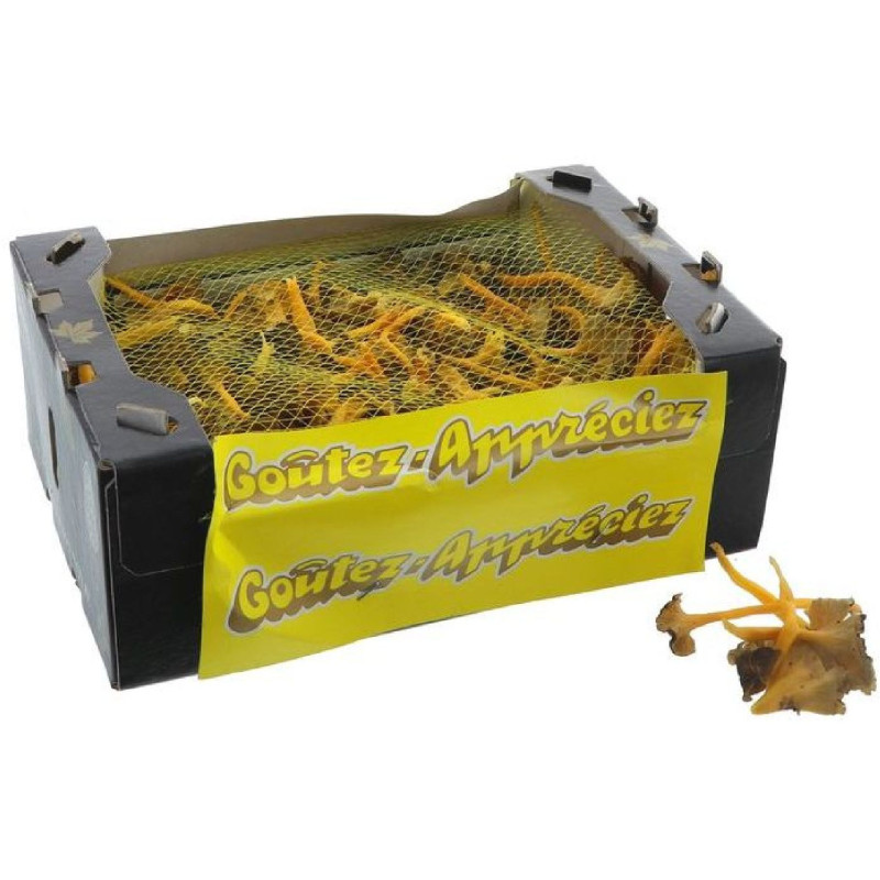 CHAMPIGNON CHANTERELLE JAUNE 1KG